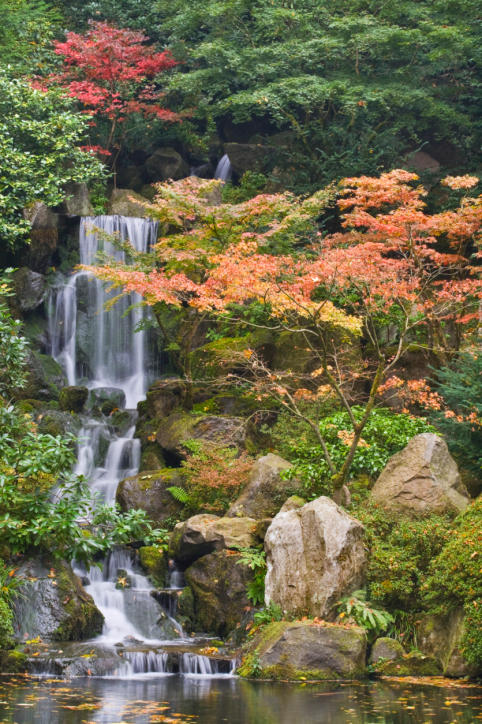 Japanese Gardens - Portland, OR